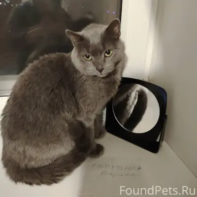 Здравствуйте на Сергея лазо 1/...