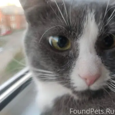 ПОИСК https://vk.ru/id39492255...