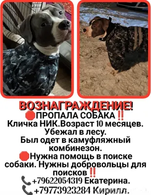 🆘🆘🆘🆘🆘🆘🆘🆘🆘🆘🆘🆘🆘🆘Многие уже наслы...