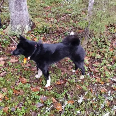 Здравствуйте! Вчера в районе Я...