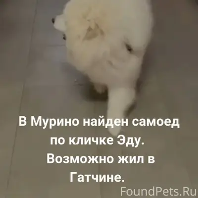 В Мурино 5 января найден самое...