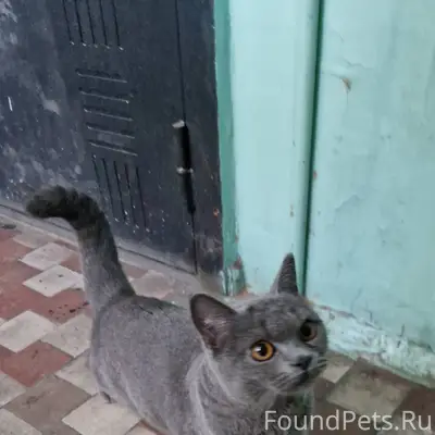 7 января 2026 Найдена молодая ...