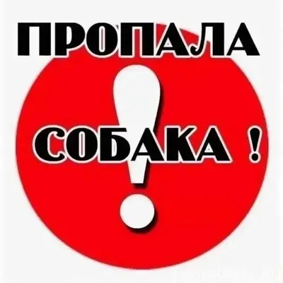 В районе швейной фабрики пропа...