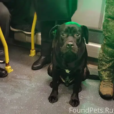 Кашира! 05.01.26 в 6...