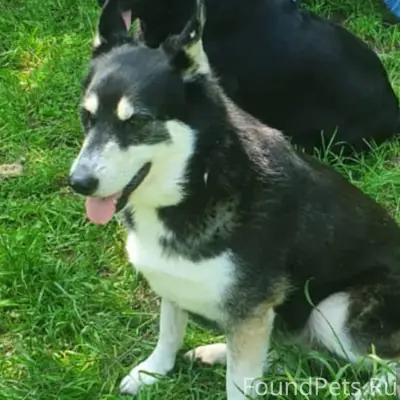 Воскресенск. Красный строитель...