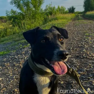 Пожалуйста, выложите пост! Про...