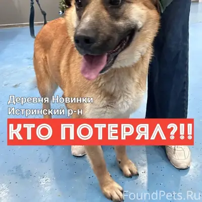 Добрый День! с Праздником! 🔴СР...