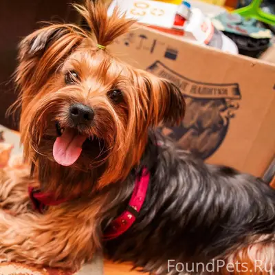 Прошу помочь в поиске! ❗❗❗❗❗❗❗...