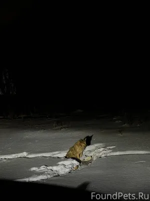 🆘🆘🆘🆘🆘 Уважаемые, добрые люди. ...