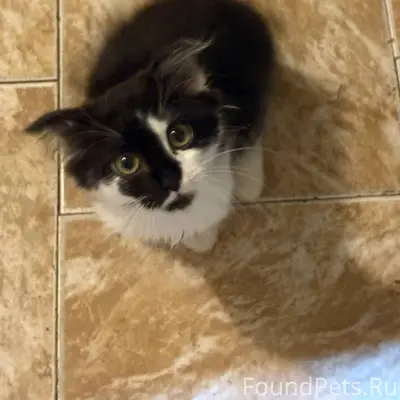 Добрый день. 5 января в подъез...