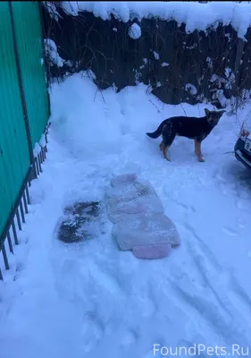 Всем добрый день. Прибился к д...