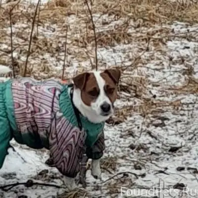 Сегодня 08.01 около 15 часов.....