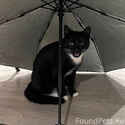 Добрый день! На 4-ой Пролетарс...