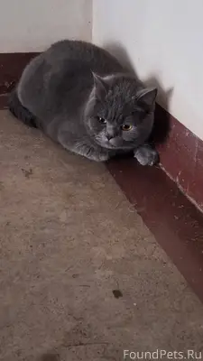 ‼️❗️ПРОШУ МАКСИМАЛЬНОГО РЕПОСТ...