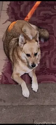 😔❗❗❗❗Продолжаем поиск нашей по...