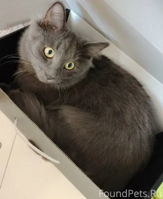 Сыктывкар, район Скалы Пропал ...