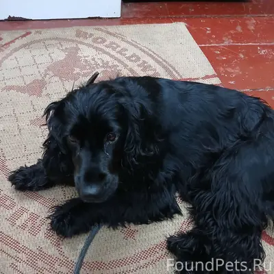 6.01.26 в г.Лиски...