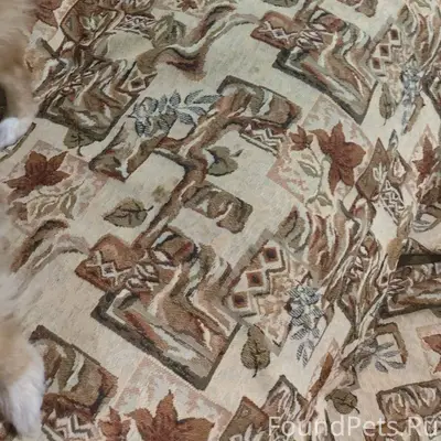 Срочно!!!!!! Помогите найти!!!...