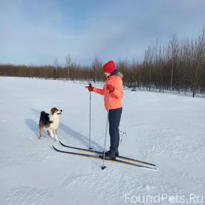 Внимание. У моей подруги 7 янв...