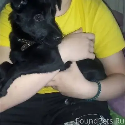 Простите что не в тему, но...