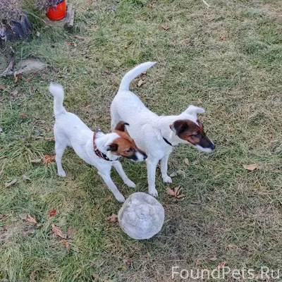 Сегодня, 08.01.2026, Чт, приме...