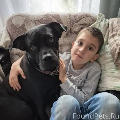 Друзья, очень нужна Ваша помощ...