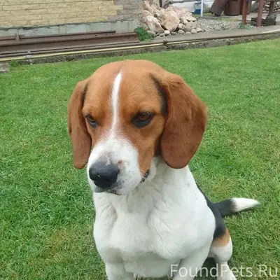 В районе ул. Мостовой, 31.12.....