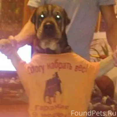 Друзья, в Приморско-Ахтарске п...