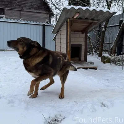 ❗️02.01 около 15:00 пропала...