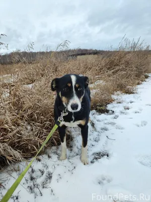 Чудом выжившая в камышловском ...