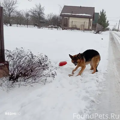 За Новой Деревней в СНТ "Федде...