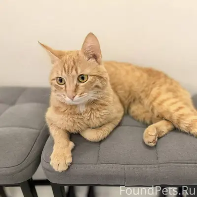 Срочно! 30 декабря в районе Во...