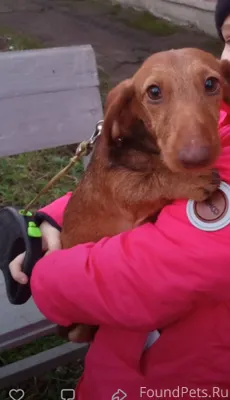 🆘🆘🆘СРОЧНО ИЩЕМ ПЕРЕДЕРЖКУ ИЛИ ...