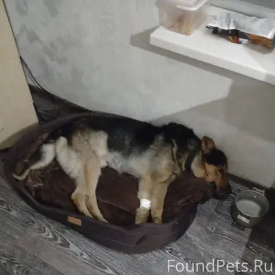 Здравствуйте Лошница !Вчера сб...