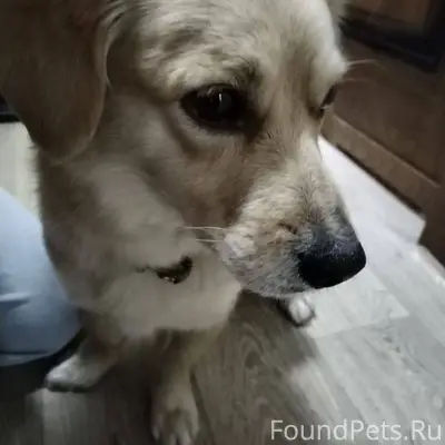 Сегодня к нам зашел добрейший,...