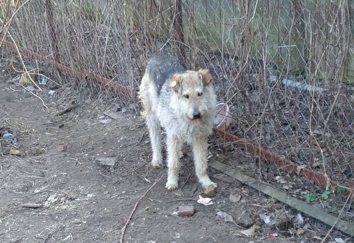 Коломна. Сандыри, Запруды, Гор...
