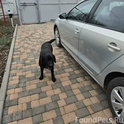 Ст. Незлобная, ул. Лесная. Про...