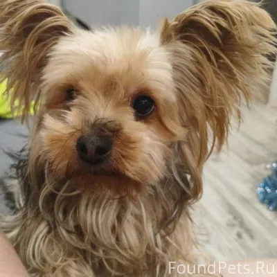 СРОЧНО!! В Старом Каменске, в ...