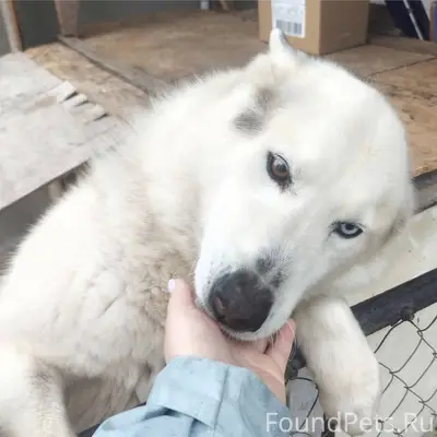 Помогаем информационно ! Пропа...