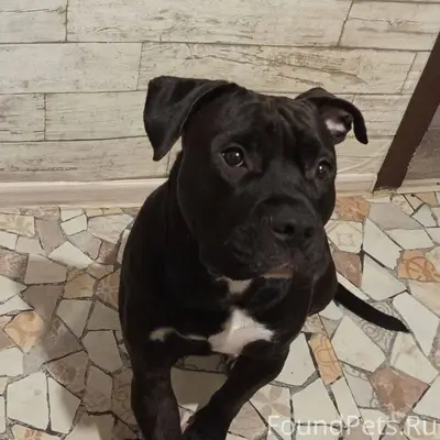 ❗️❗️❗️❗️❗️❗️Прошу разослать ин...