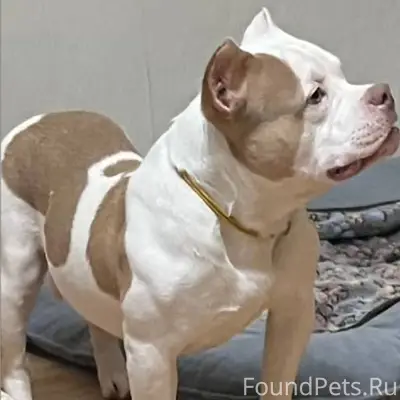 Админ, если Вам нетрудно вылож...