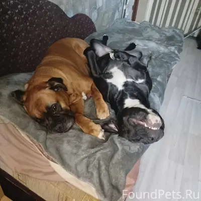 Если кто-то сейчас гуляет в...