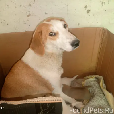 Добрый вечер, в связи с непого...