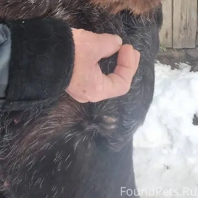 ♦️‼️ Джек-имя этого шоколадног...