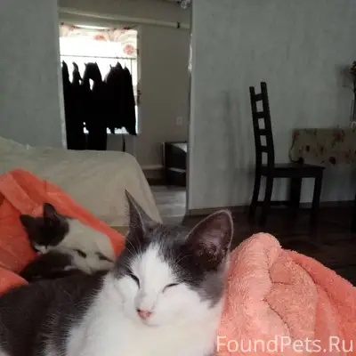 Люди добрые! Помогите вернуть ...