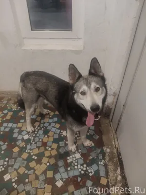 Монгора, Звёздная. Второй день...