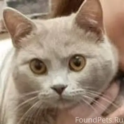 Не теряем надежды найти своего...