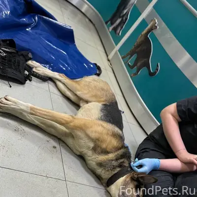 Помогаю информационно! Найден ...