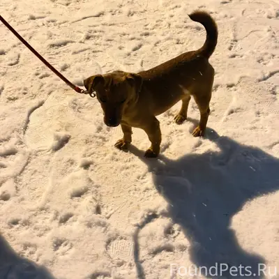 Всем доброго дня . 8го января ...