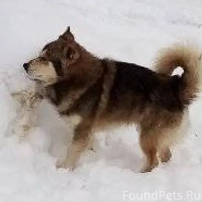 СТЕРЛИТАМАК ! === В мкр Первом...